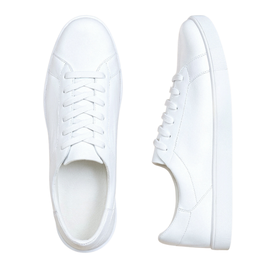Classic Canvas Sneakers for Everyday Wear - Comfortable and Versatile Footwear